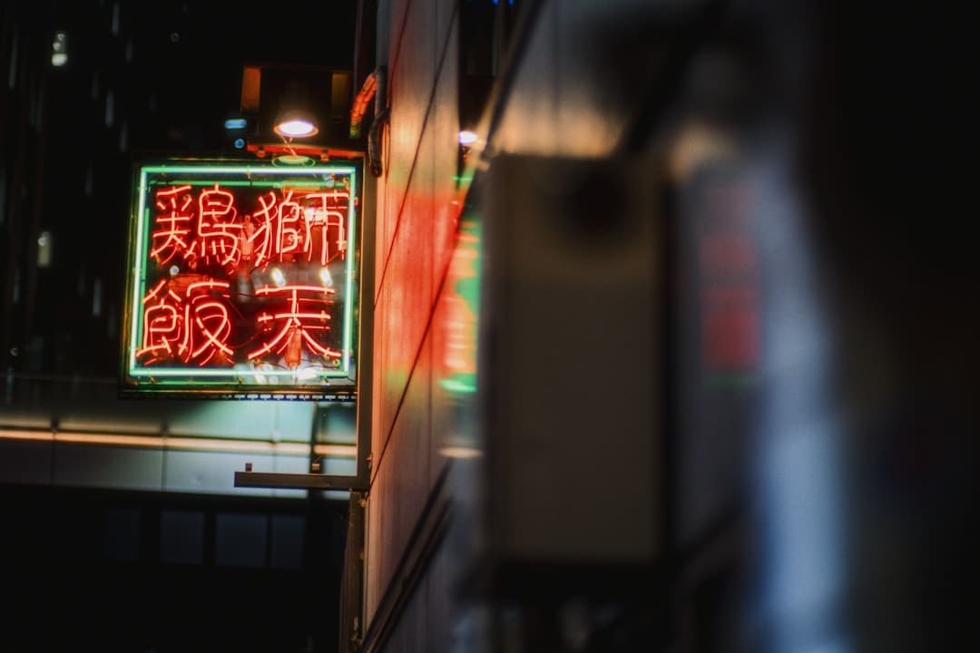 聋哑大嫂新年省亲记